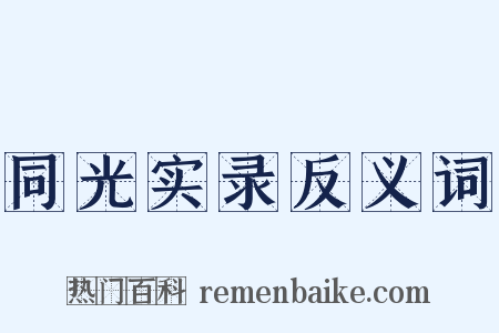 同光实录反义词是什么意思的图片